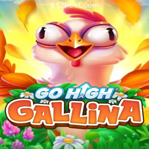 Exploring the Thrills of GoHighGallina: A Premier Game at 312bet.com Online Casino Brasil